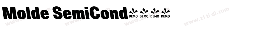 Molde SemiCond字体转换